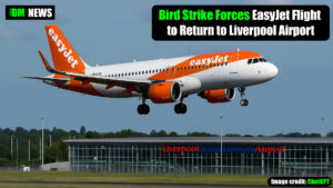 Bird Strike Forces EasyJet Flight to Return to Liverpool Airport