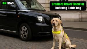 You need to order a pet Uber: Bradford Driver Fined for Refusing Guide Dog Passenger